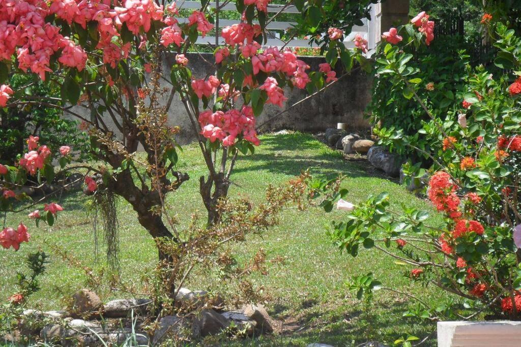 Idilio Rooms Ocho Rios Esterno foto